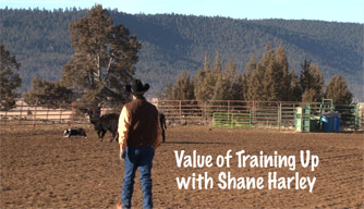 Free Video - Value of Training